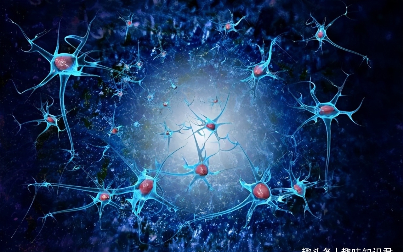 神经细胞|每日科普：趣味冷知识分享（二十二）我们一起涨知识！