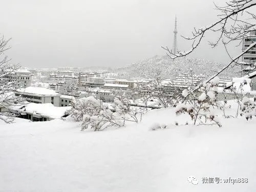 白狗$唐代一首令人啼笑皆非的打油诗,上不了台面,却总能博人一笑