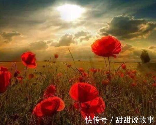 部下|《道德经》懂得此理,就懂得“完美”的内涵!