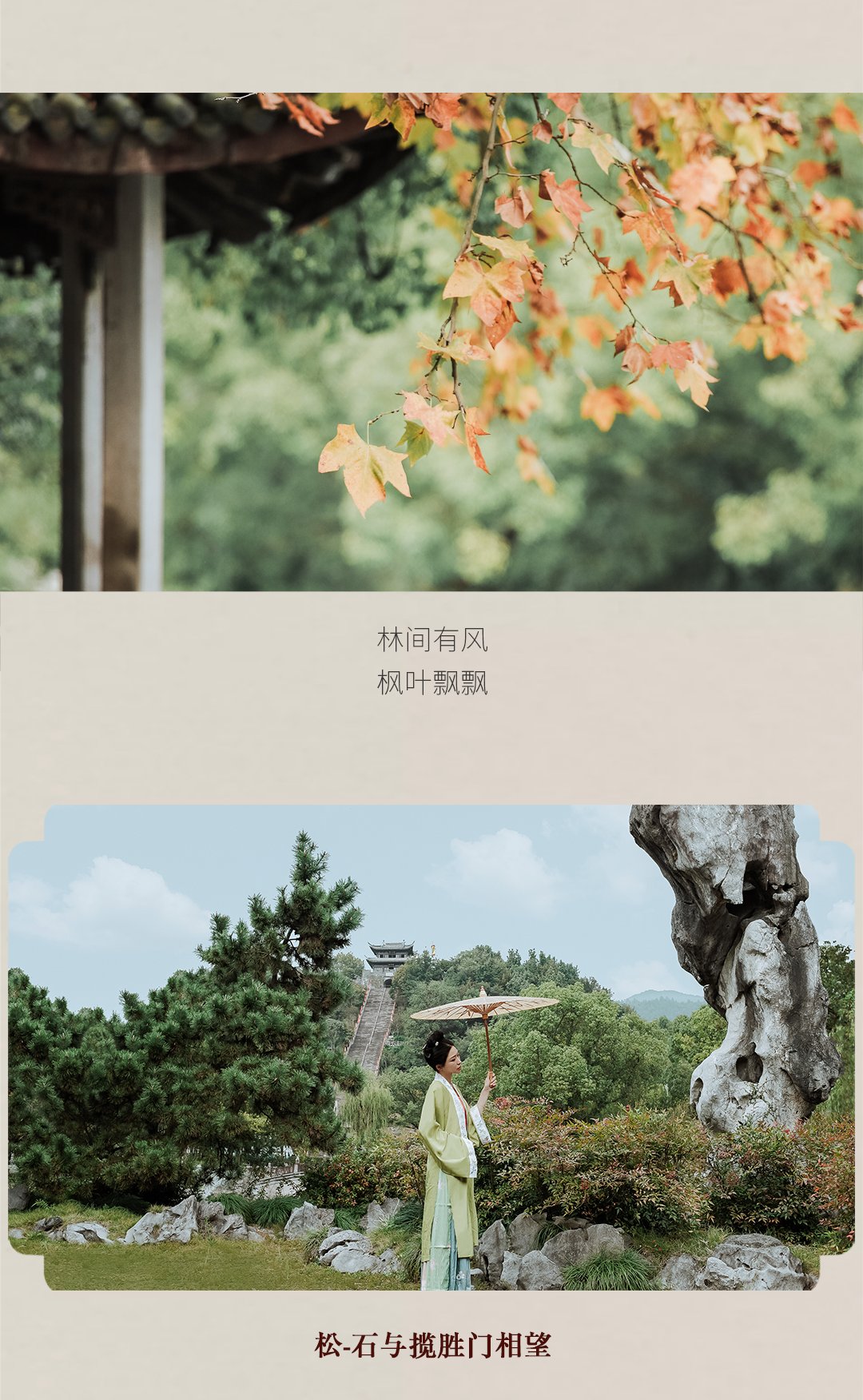 风景|冬日不可错过的宝藏园林，风景美如画！等你来打卡——