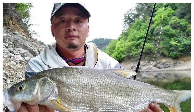 夏季|钓鱼实战:钓翘嘴的技巧,都在这里了,请花一分钟耐心看完