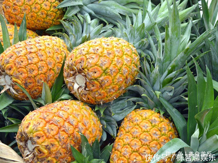 储存|牛奶和鸡蛋不要放在冰箱门里18种错误储存食品和食材的方法