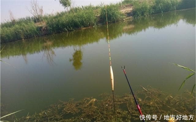 子线|调漂方法大全:图解无子线调漂,小鱼闹窝、流水走漂,就用这方法