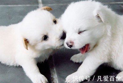 |搞笑动图:我就含在嘴里不吃,逗你玩!