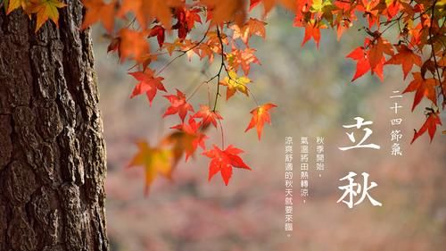 人体|立秋过后，这6种食物要多吃，每一种都对人体大有好处，防燥润肺