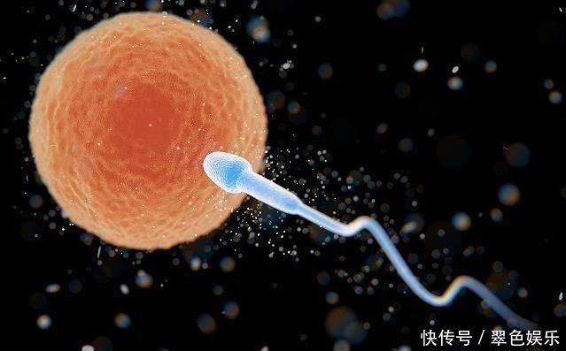 安家|女人怀孕会有感觉吗？排卵后出现这3种感觉，说明卵子已安家