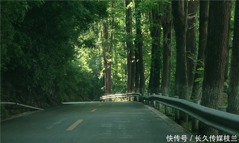 柔情蜜语|腾冲马站火山路上，花开浅夏醉清风