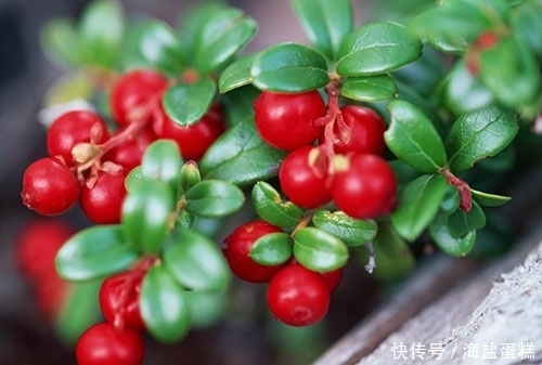 女性不想过早衰老，不妨多吃此果，滋养卵巢，预防妇科疾病