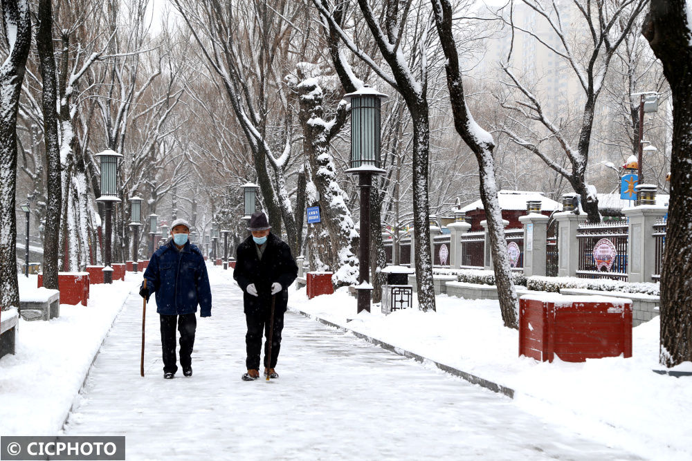 甘肃|甘肃平凉：柳湖雪景美如画