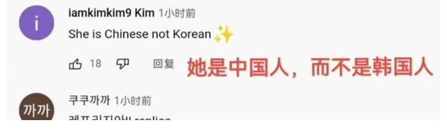 宋智雅因穿假货被韩国网友开除国籍!讽刺她是中国人?