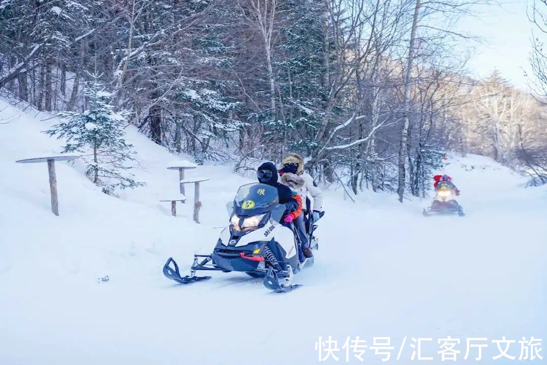 导游|4年前，那个因为“宰客”被骂上热搜的雪乡，后来怎么样了？