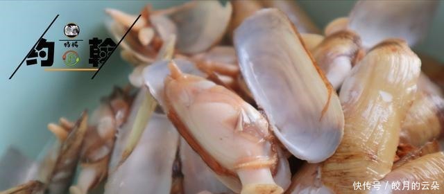 12块钱买500克蛏子,简单一蒸5分钟就上桌,肉质鲜美,吃着很过瘾