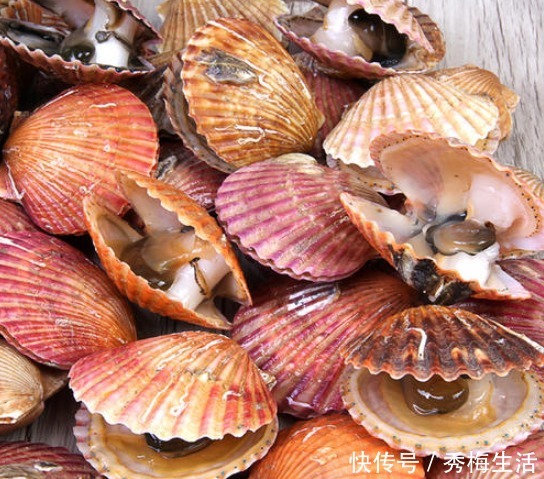 蒜蓉蒸扇贝|蒸扇贝,冷水上锅就错了,学学海边人做法,肉质鲜嫩,饱满不回缩