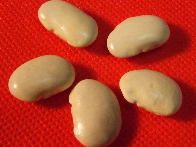 大米|此豆被誉为“夏天第一豆”,是天然的胰岛素和抗癌药,营养价值高