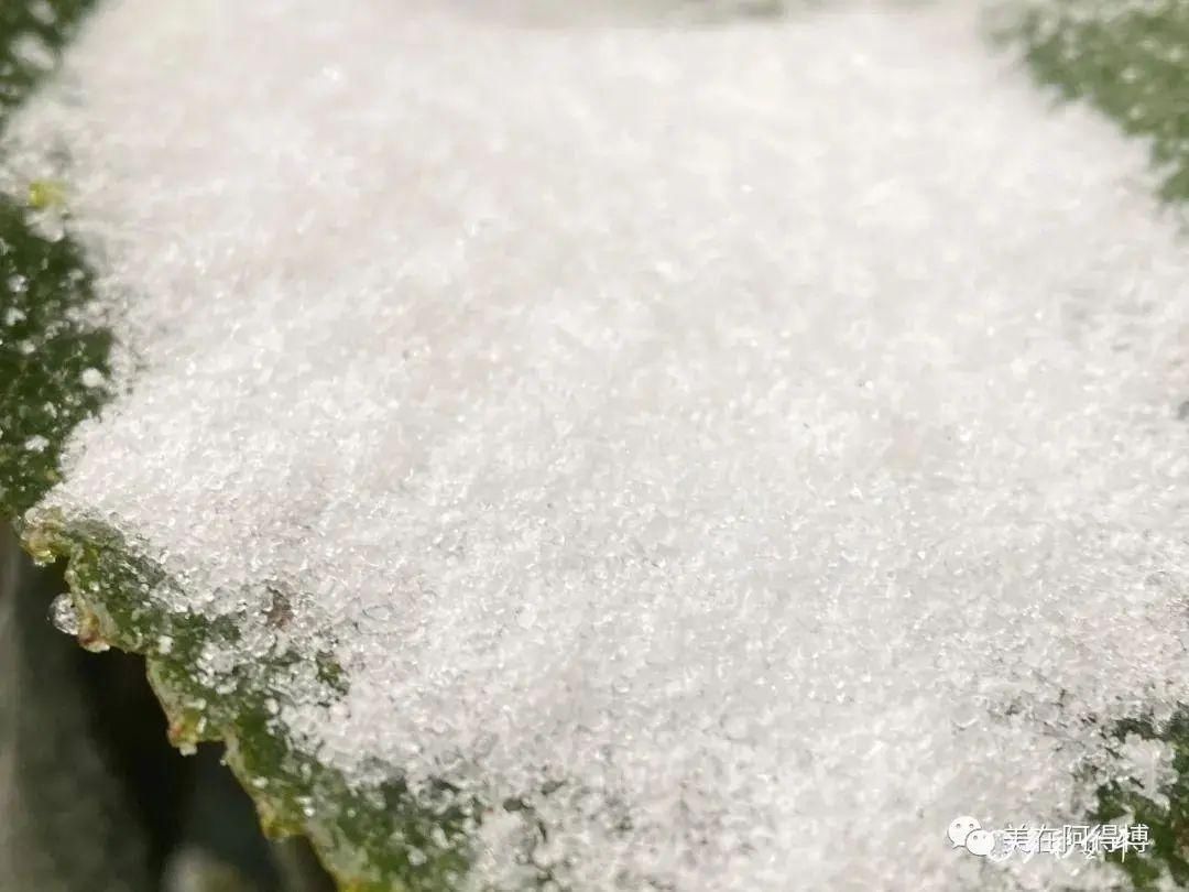 记忆 ｜寒潮再次来袭，还记得前几天的雪吗？