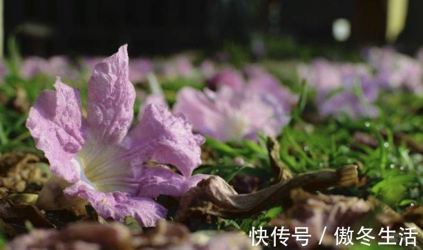 锦瑟@赏八首美到令人窒息的经典古诗词,感受最真挚的情感