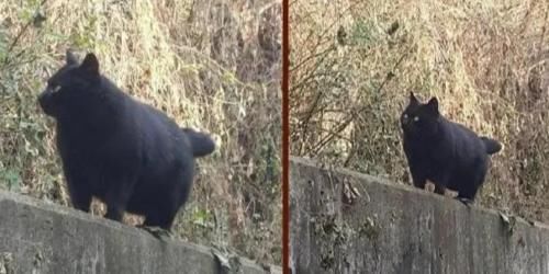 “餐厅这道菜卖1880,你们看值不值”老板含泪赚下1800