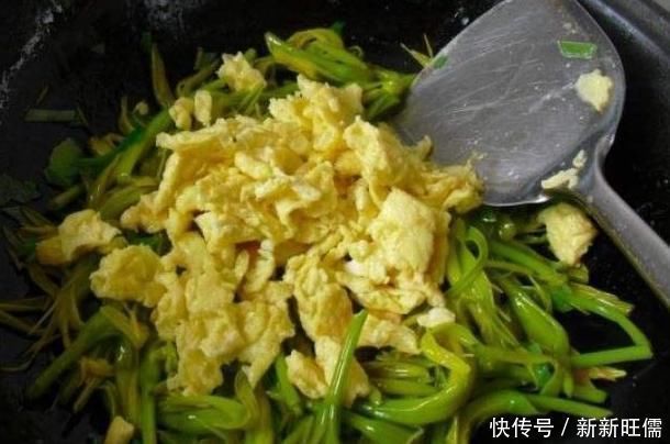 百合|多吃这种菜,贵点也别省,排出毒素,双眼明亮,改善失眠