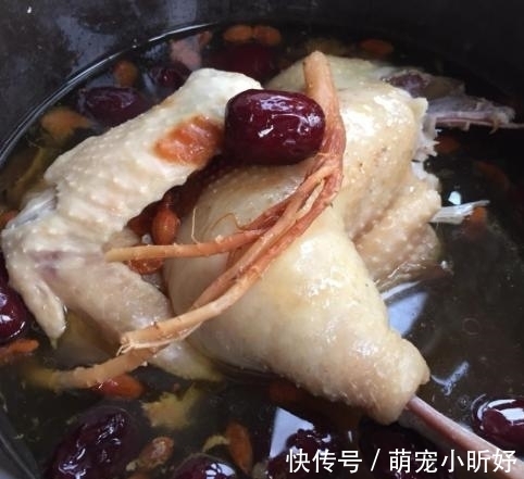 补气养血|当归炖鸡,你做对了吗?汤鲜肉烂,香气四溢,补气养血滋润容颜