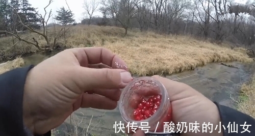 小个红果子做饵,水沟中也能钓获鱼,钓鱼人最爱了