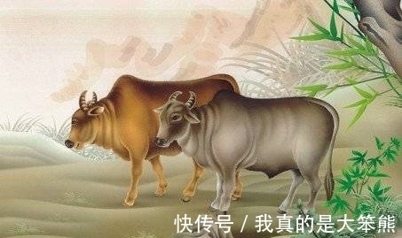 宽路|今年危机已过！从下周起，3生肖财宽路广，生意轻松，不负流年