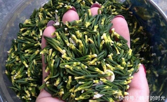黑荞麦|若过了40岁,养肾要牢记”2少3多“,肾会”年轻“很多