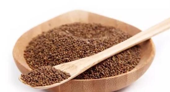 菟丝子|它是“补精”的中药一味补三脏,老中医时常用