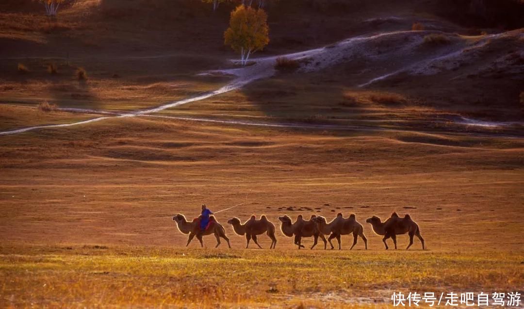 中国最美的11个地方，这辈子一定都要走一遍