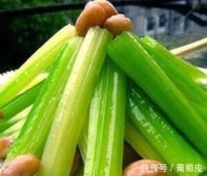 芹菜叶中|提个醒，芹菜是它天生的“死对头”，不能一起食用，早知早受益