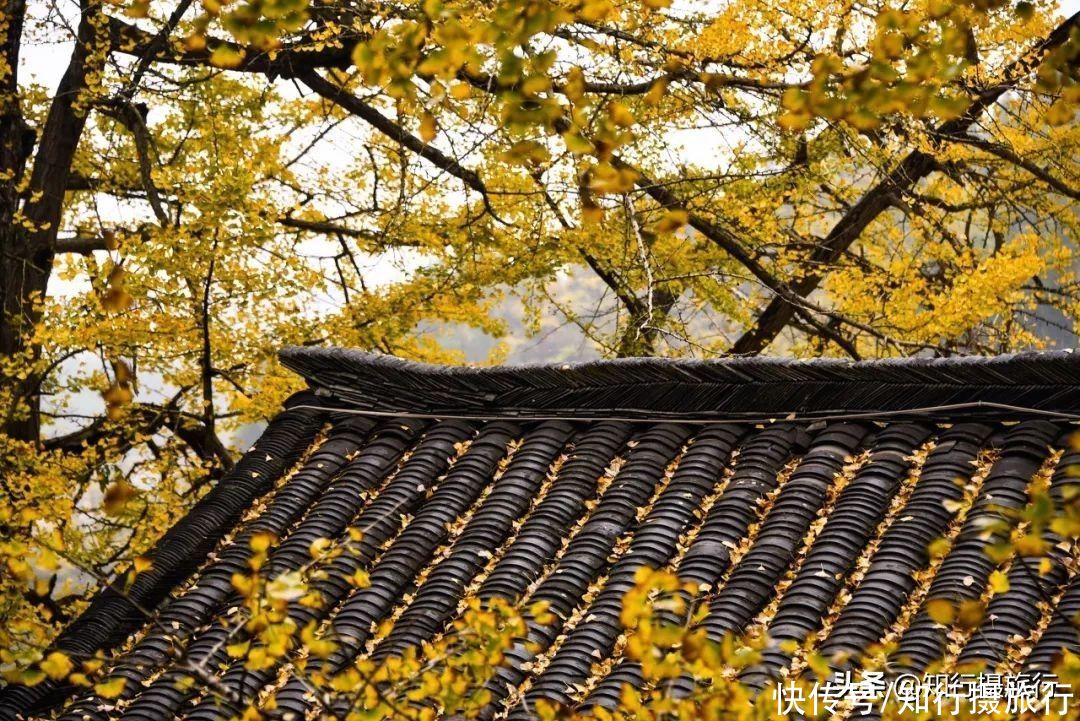 珍藏无数极致美景，最近红遍抖音的小众目的地：贵州