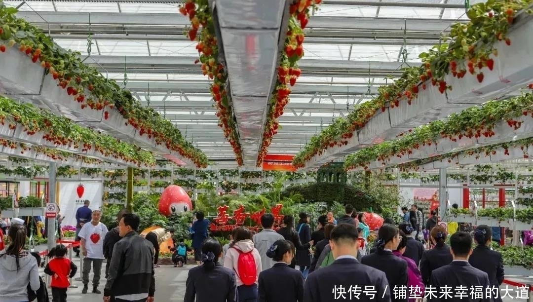 农民|安排上了!让昌平乡村更美,农民更富