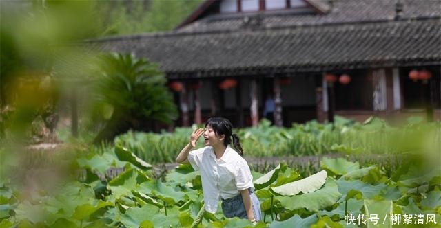 石刻|大足除了石刻还有什么可玩的梦回棠城，又见香国，领略大足之美！