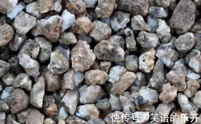 饭石|多肉养的美不美,铺面石的作用很重要,铺与不铺颜值差太多