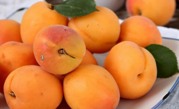 火龙果|元宵节结束后就是春天了,多吃3种平安果,寓意健康长寿福寿双全