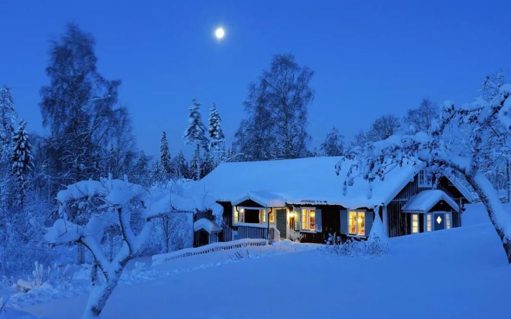 村雪夜坐图片