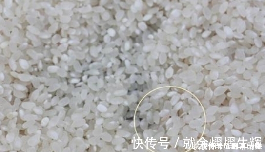 妙招|大米生虫不懂不要暴晒！教你1小妙招，用完就能一年不长虫不发霉