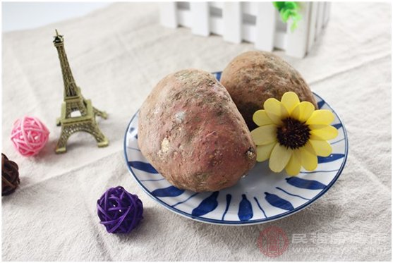 高营养低热量的食物有哪些