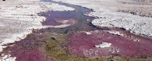 早期地球没有氧气，当时的生物怎么活下来的科学家终于搞清楚了