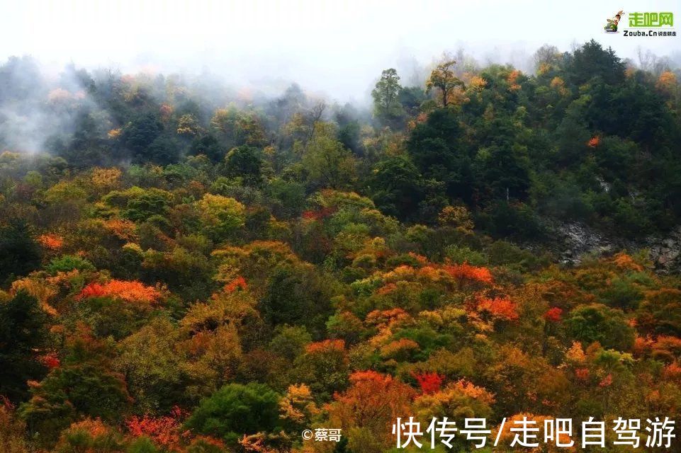 茂县|又是一年红叶季！四川最美红叶观赏地图，看这一份就够了