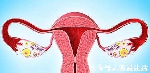 更年期|女人过了40岁,饮食上尽量做到4点,营养均衡,避免身材走形