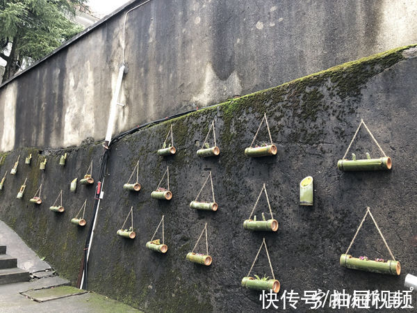 鲁双映|余姚这个山区小学21个学生12位老师，他们想办一所有温度的学校