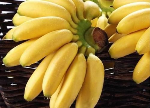 预防疾病要会吃,推荐吃的好食物,益气补血,滋阴排毒,稳定血压