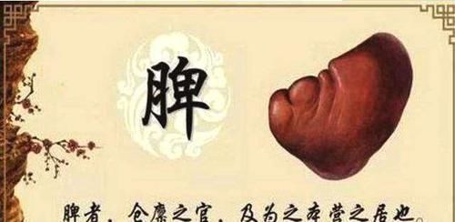 脾虚的人这三个表现很明显，做到这两点，脾胃也会慢慢变好