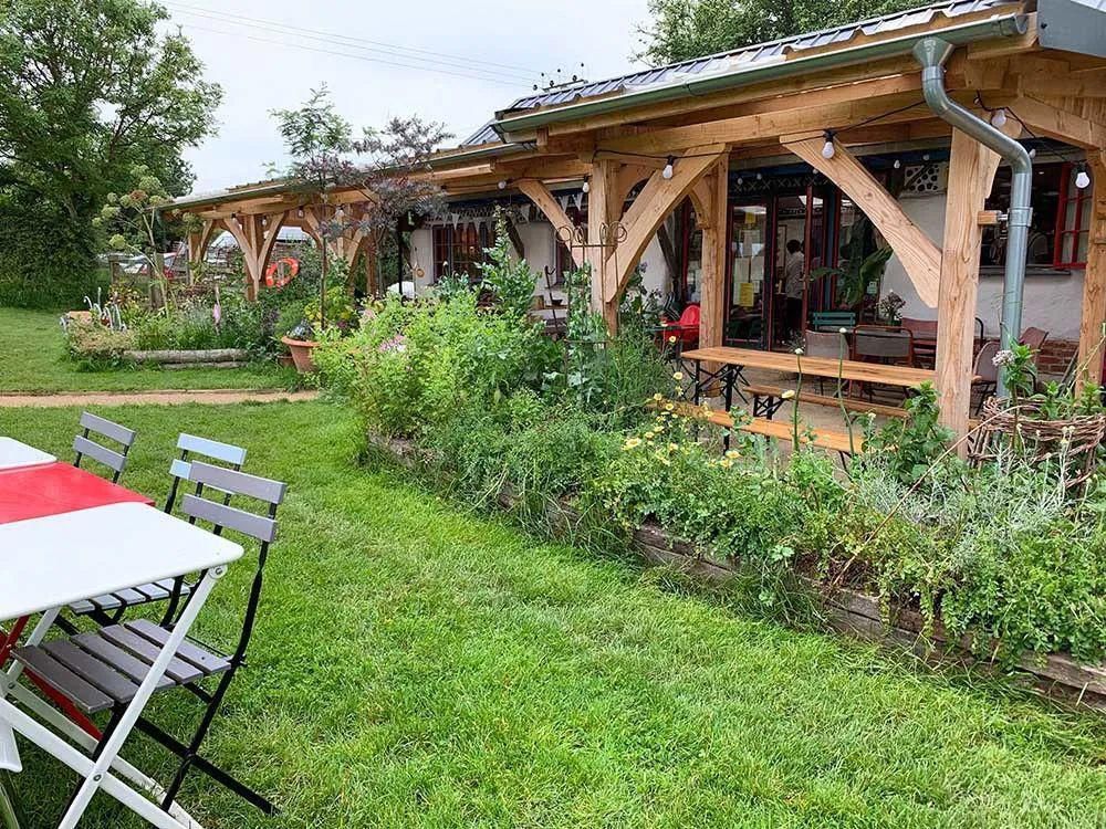  看完这个，想把家里花盆丢了