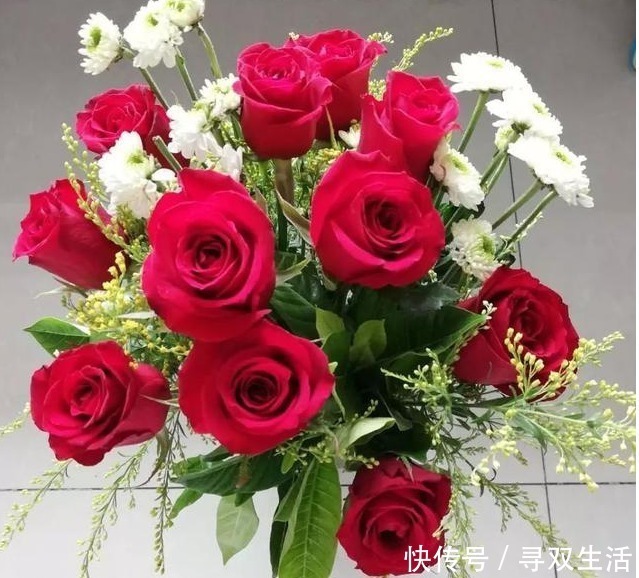 蹭蹭|“一片小药片”养啥花都旺,比黄豆水好用10倍,花卉蹭蹭长爆盆