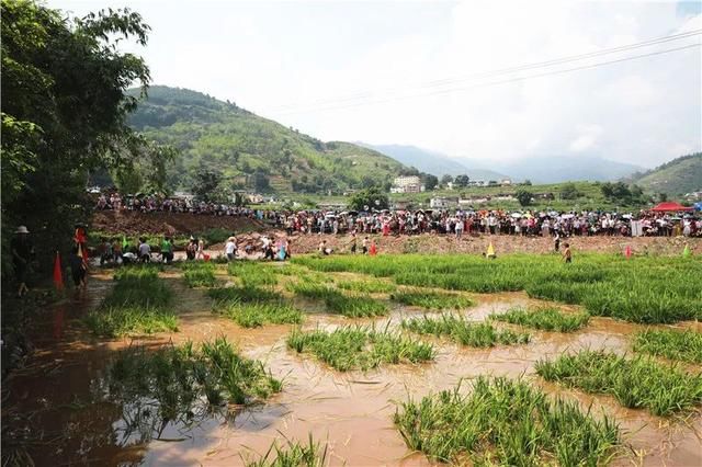 丽江|丽江华坪首届新庄乡村旅游节共接待游客4.4万人