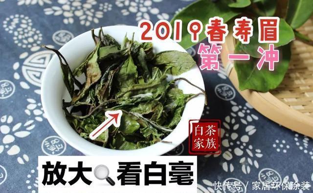 泡茶的时|意想不到,85℃温水泡白茶影响这么大,老茶农:现在明白不晚