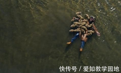 手机|一位妈妈的悔恨:千万别让孩子用这样的方式过暑假