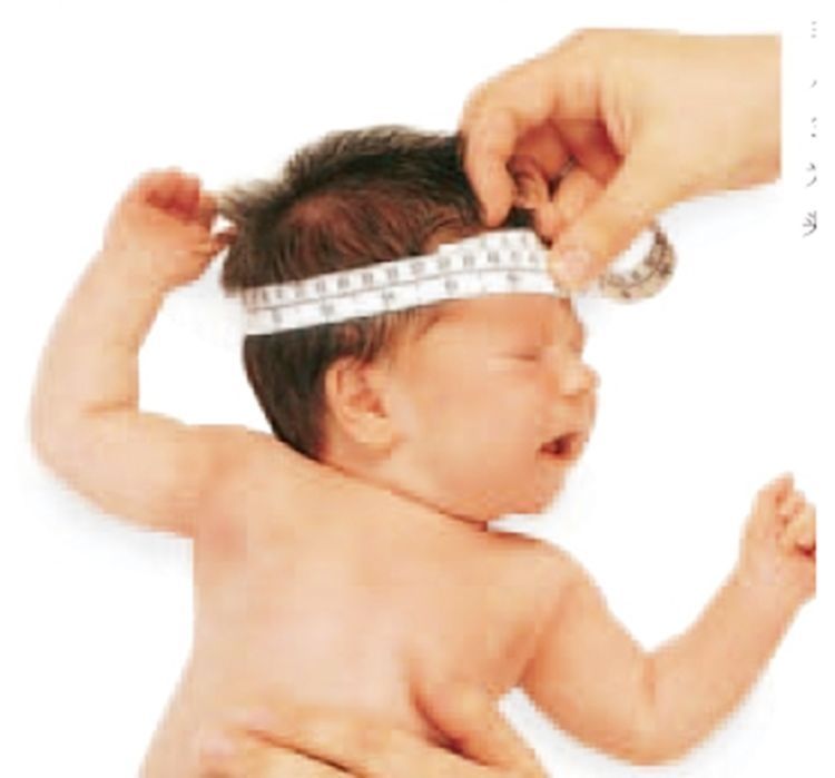 孩子|这种“头型”的孩子，自身携带“高个”基因，中了的父母偷着乐吧