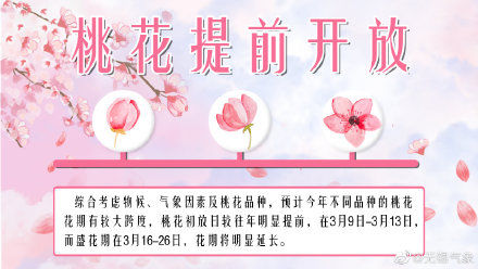 约不约？桃花花期预报来啦